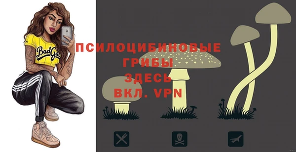 таблы Армянск
