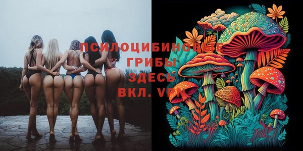 таблы Армянск
