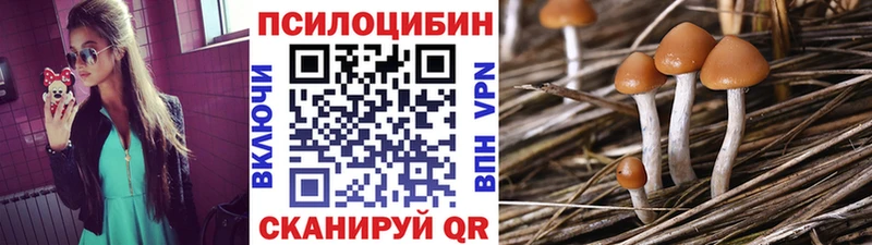 маркетплейс наркотические препараты  Нефтекамск  Псилоцибиновые грибы мицелий  цена наркотик 